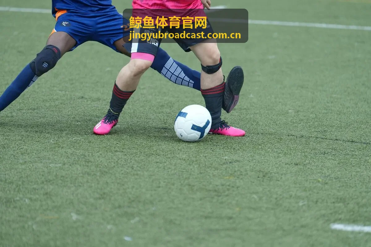 鲸鱼体育官网世界杯预选赛直播预告