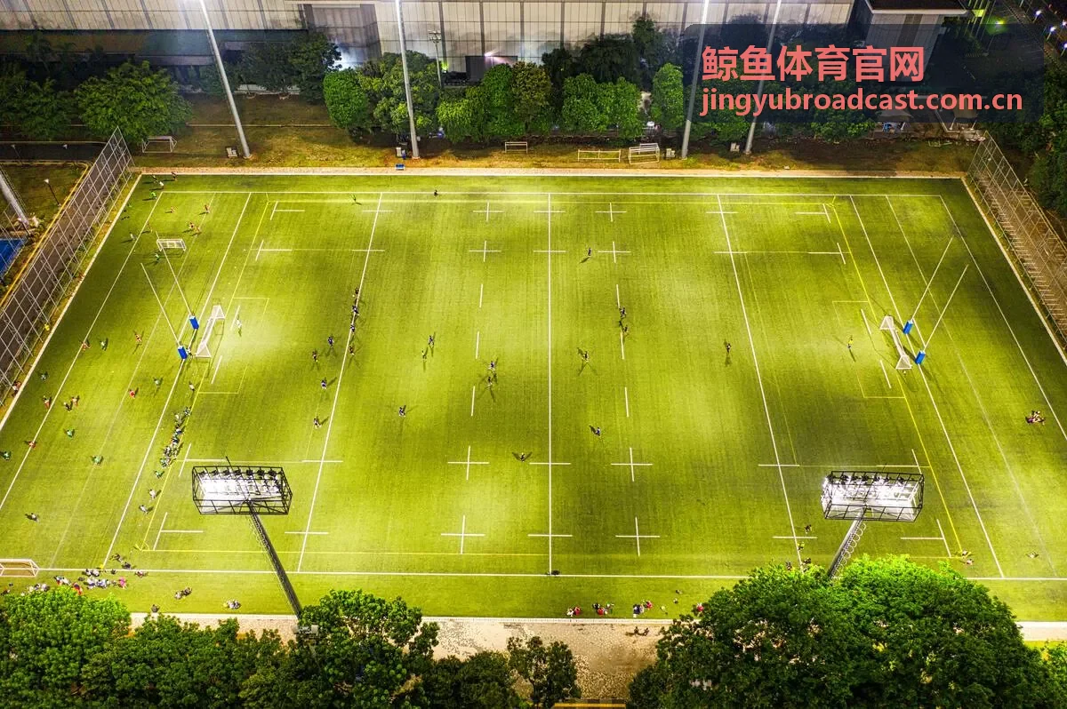 鲸鱼体育官网德国国家队分析